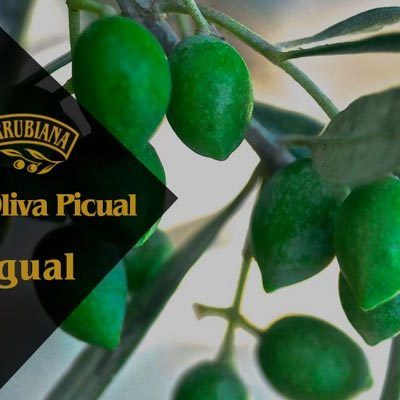 Aceite-de-Oliva-Picual-La-Monterrubiana