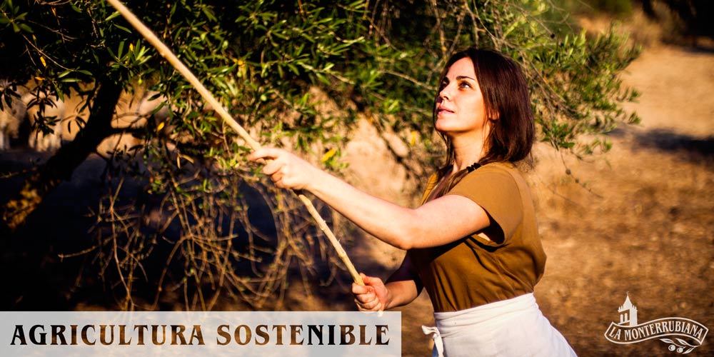 Agricultura-Sostenible