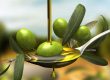 tipos-de-aceitunas-para-aceite
