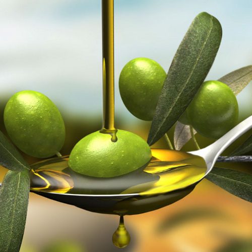 tipos-de-aceitunas-para-aceite