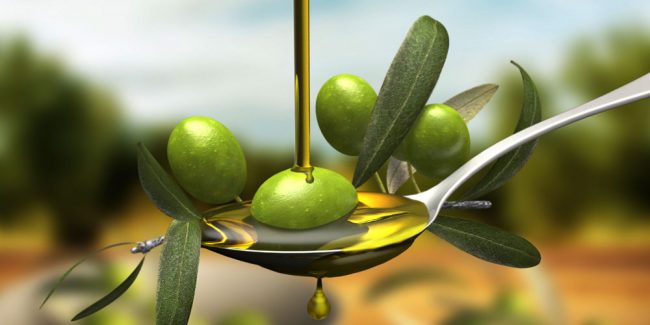 tipos-de-aceitunas-para-aceite