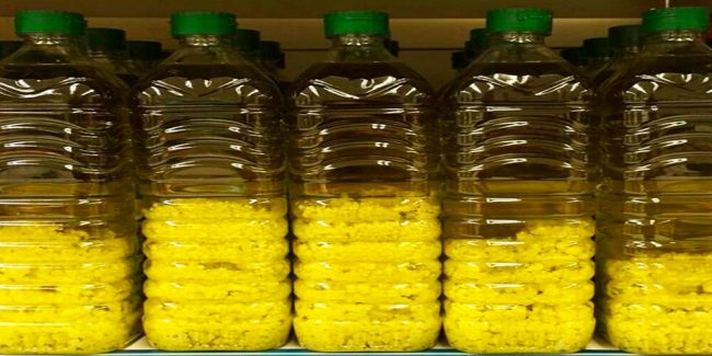 A-que-temperatura-se-congela-el-aceite-de-oliva